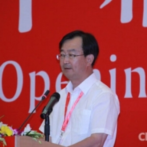 住建部副部长王宁:五大措施促进住宅产业化发展