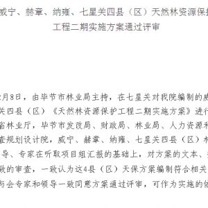 咸宁、赫章、纳雍、七星关四县(区)天然林保护工程二期实施方案通过评审