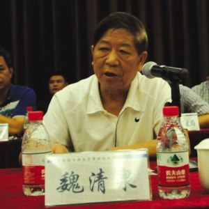 魏清泉:绿色建设是一种价值体现