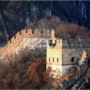 ųǡΣ֮ ״飺 Ź