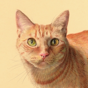 Բʻֺܶ࣬һ֮Ǵ񼶱