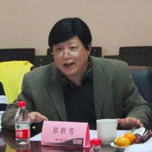 祁世芳:综合体和商业地产的跨界融合