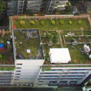福州:50米以下公共建筑 须立体绿化