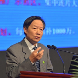 仇保兴:打造绿色城市须规划先行
