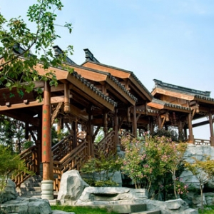 时评:留住传统需以“合”为力