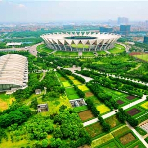 时评:绿色城市不能光看绿化有多少