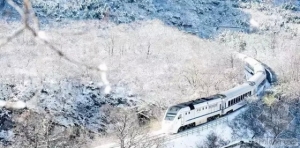 S2 ѩг