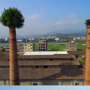 福建工厂废弃烟囱内长出大树如同戴绿帽