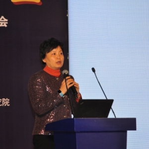 【图文直播】秦虹:展望“十三五”房地产投资