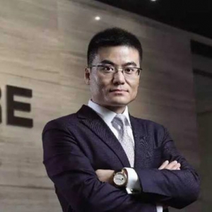 李凌:中国资本的投资困惑