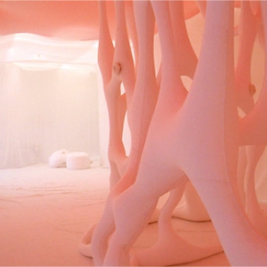 װ-Ernesto Neto