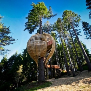 Yellow Treehouse Restaurant