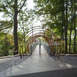 ̽ Tree Adventure by Metcalfe Architecture