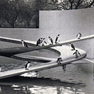 ׶ض԰ˮ London Zoo Penguin Pool by Berthold Lubetkin