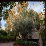residence