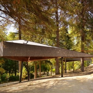 ɭ tree snake houses