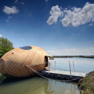 the exbury egg δ by  Stephen Turner