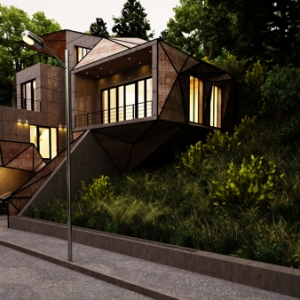 single family house  by leqso tsiskarishvili