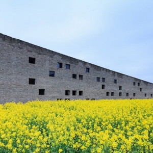 Դ͹ Tea Seed Oil Plant by Imagine Architects