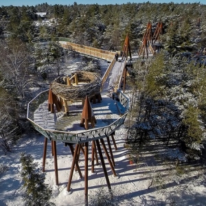ŦԼݱɭֵҼ Wild Walk is a treetop above a forest in Upstate New York