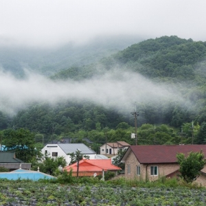 Զˡ֮ THE OSOLZIP by B.U.S Architecture
