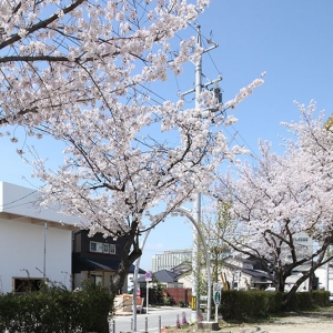ձ֮ңںϹռ˽˿ռ