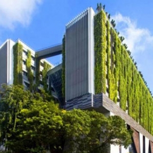 时评:中国绿色建筑发展的顽疾