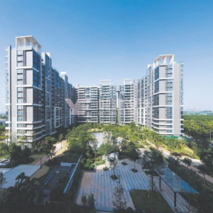 时评:许城市一个绿色未来