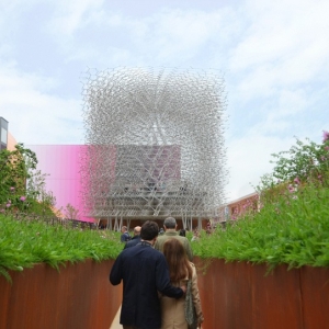 2015᣺wolfgang buttressһӢ֮䳲Ƶ