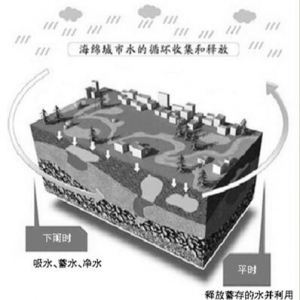 时评:海绵城市建设切莫丢了系统科学论证