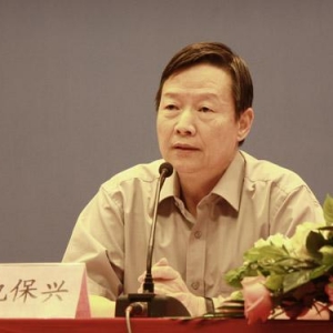 仇保兴:“全国建10个类似北京超大城市”是误解