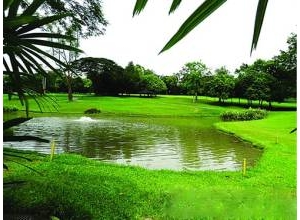 杭州开建首个海绵公园 能吸能排能浇灌