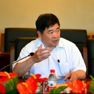 单霁翔:建筑应反映现代精神面貌