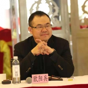 欧阳兵:规模与创新的错位
