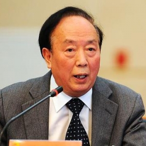 崔功豪:国内智慧城市建设不能一哄而起