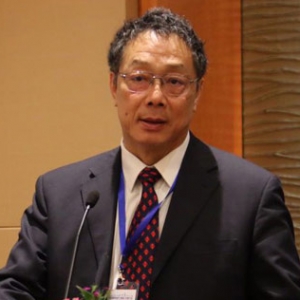 李铁:智慧城市建设对缓解