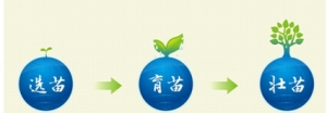 青苗计划:企业大学助力陕十一建人才培养