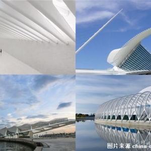 ʥǸ硤߻LEAF Internationalɾͽͼ