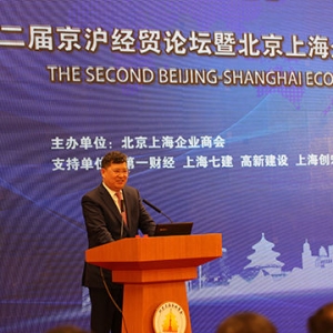 张玉良:转型期中国房地产企业的“破”与“立”