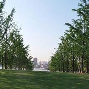 北京加强城市管理 通风廊道坚决制止商业开发