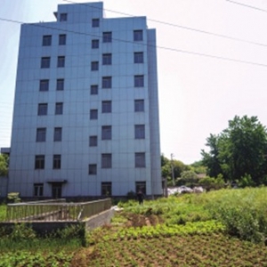 多地新建办公楼闲置:有的大楼撂荒 有的院子种菜