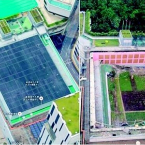 香港城市大学体育馆屋顶塌陷