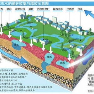 深圳多重措施打造海绵城市 告别雨季一来城里看海现象