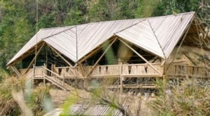 纽约时报:中国建筑师回农村盖房 致力于复兴美丽乡村