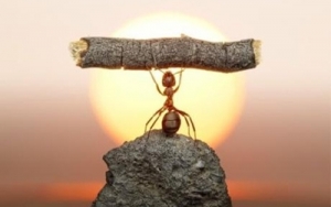 从建筑名校到BIM技术大咖,他从未停歇!