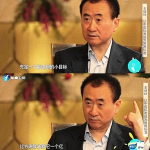 王健林把“挣一个亿”当小目标背后的大豪迈