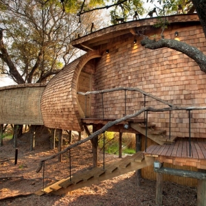޴һķȼپƵ Sandibe Okavango Safari Lodge