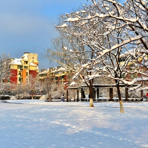 建筑师,在房地产的艳阳里大雪纷飞