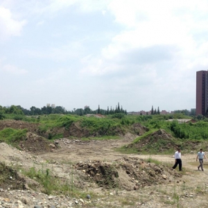 国土资源部:未来5年将严控建设用地总量