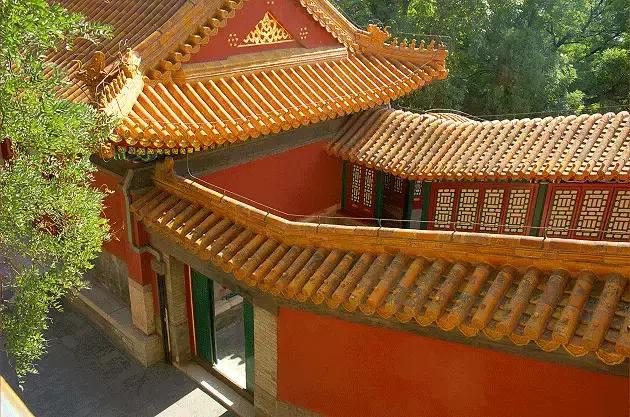 ʹݶϵġСޡ㶼ʶ